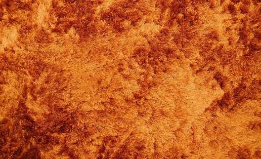 ��̺Ӧ�������ϴ�뱣��