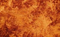 ��̺Ӧ�������ϴ�뱣��