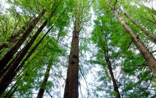 ɼľ�Ҿ߱�����෽�� ɼľ�Ҿߵı�������