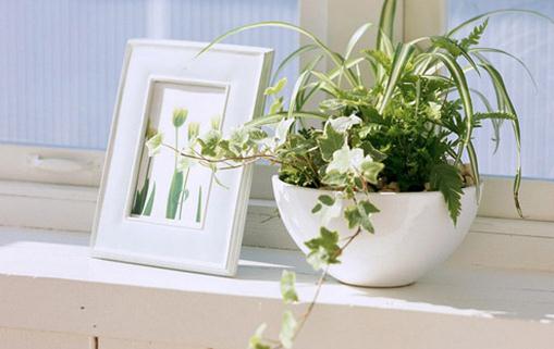 家里总是有灰尘怎么办?