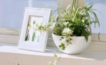 ���������лҳ���ô�죿