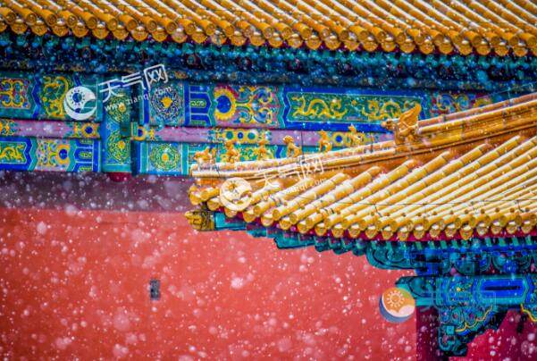 Ԫ���ڵķ������� Ԫ����ʲô���շ���