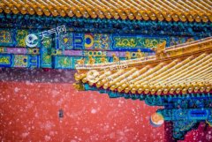 Ԫ���ڵķ������� Ԫ����ʲô���շ���