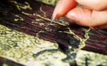 ����Ĵ����뱣������