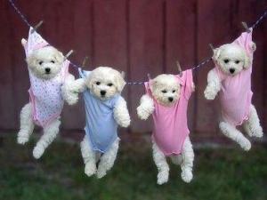 ���������·���������ùζ����ζ��ô�죿