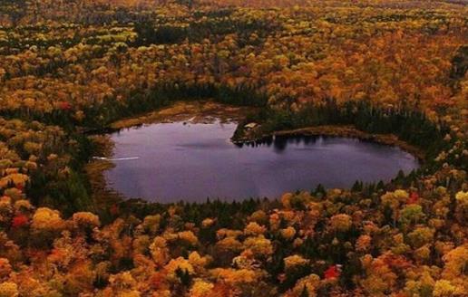 ȫ�������Ȼ���ͺ�����������һ��Ҫȥ����~