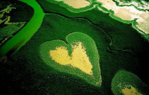 ȫ�������Ȼ���ͺ�����������һ��Ҫȥ����~