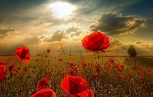 ����;�й�����ʳ��ѧ��