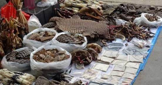 ���γ���ȥ����?С�ڶ�����ʥС���� �������������