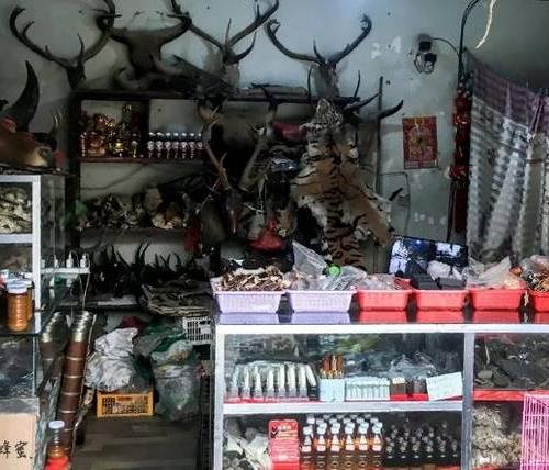 ���γ���ȥ����?С�ڶ�����ʥС���� �������������