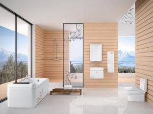 ʲô�ǵ�̼�����β���������̼�Ҿ�װ��