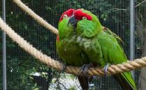 �������ĵļ�� �������ĵĲ���