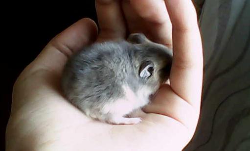 ���²�����ô�������²����Ʒ��