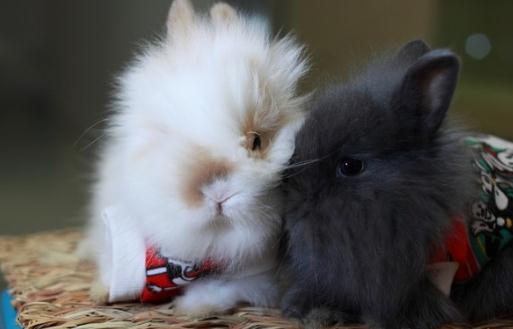 �������õļ��-����������ô����