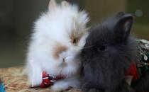 �������õļ��-����������ô����