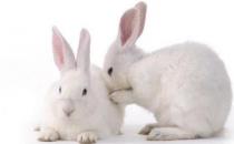 ������õĲ���-������õļ۸�