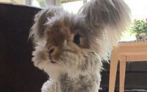 �����õĲ�������������ö���Ǯ�����򵽣�