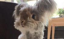 �����õĲ�������������ö���Ǯ�����򵽣�