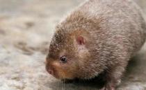 â��ļ��-â��ļ�ֵ