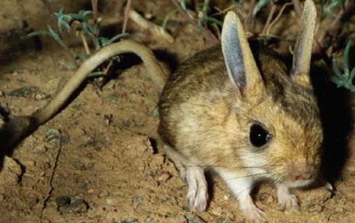 ���������ϰ��-���ڻ���������