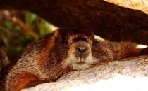 ��������ô�����������Ʒ��