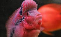 �����޺�����ô���������޺��������