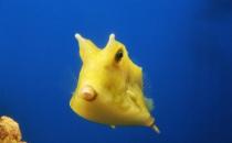 ľ����ļ��-ľ���������