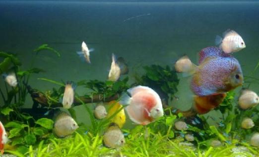 ��������ļ��-�����������������