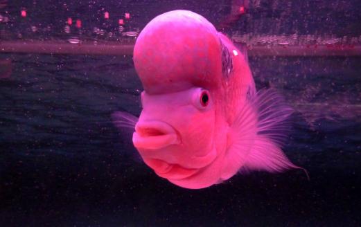 ����ͷ�ļ��-����ͷ������