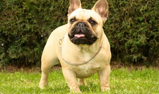 ������ţȮ��ô����������ţȮ��ôѵ����