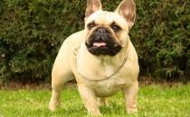 ������ţȮ��ô����������ţȮ��ôѵ����