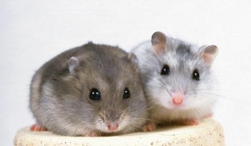 ����������Ӧ����δ���