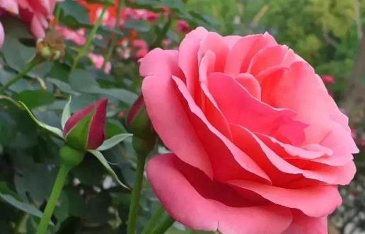 �¼�����ô�� ���¼�����ע������