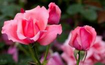 �¼�����ô�� ���¼�����ע������