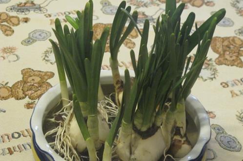 ˮ�ɻ�����ȷ�������� ��ˮ�ɻ���ע������