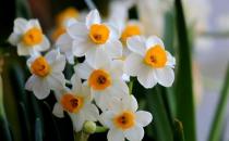 ˮ�ɻ�����ȷ�������� ��ˮ�ɻ���ע������