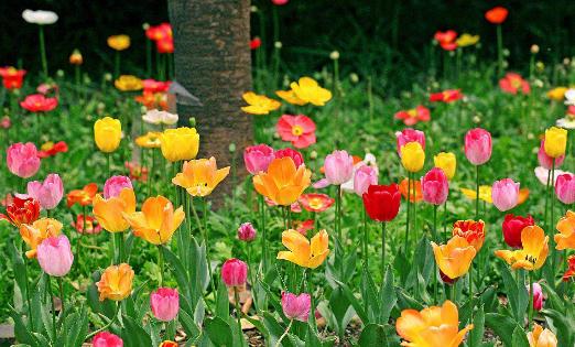 �����ڼҾ�������Щ���ã�