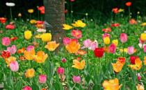 �����ڼҾ�������Щ���ã�