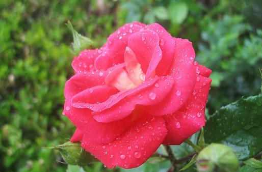 ���򵽵��¼���Ʒ�ֺ���