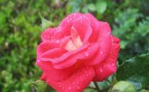 ���򵽵��¼���Ʒ�ֺ���