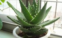 «����ֲ����ķ���