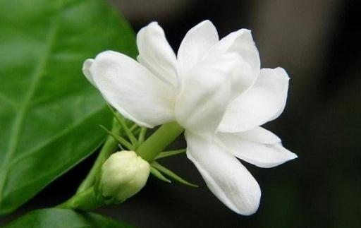 �������г�����ô�죿