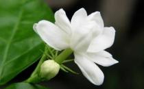 �������г�����ô�죿