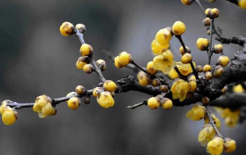 ����ͺ�˵Ľ������