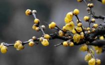 ����ͺ�˵Ľ������