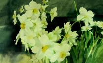 ˮ�ɻ��ļ��-ˮ�ɻ�������