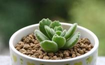 ��ͯ�ӵ���ֳ����-��ͯ����ʲô��