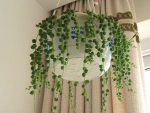 ��������ڼҾ��е�����-��������ļ��