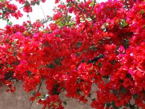 ����÷��Ҿӷ��Ĵ���-����÷�ļ��