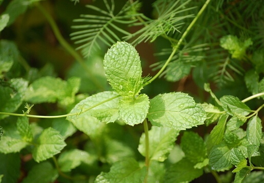 ���ɶԼҾӻ�����Ӱ��-���ɵĶ�����;